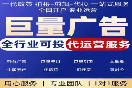 谷歌竞价广告的投放策略与成功案例分析